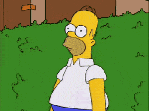 my-reaction-when-I-get-into-an-argument-with-women-homer-simpson-hide-in-bush-disappears